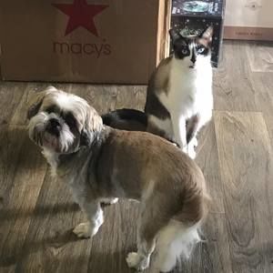 Meet your Posher, Frank